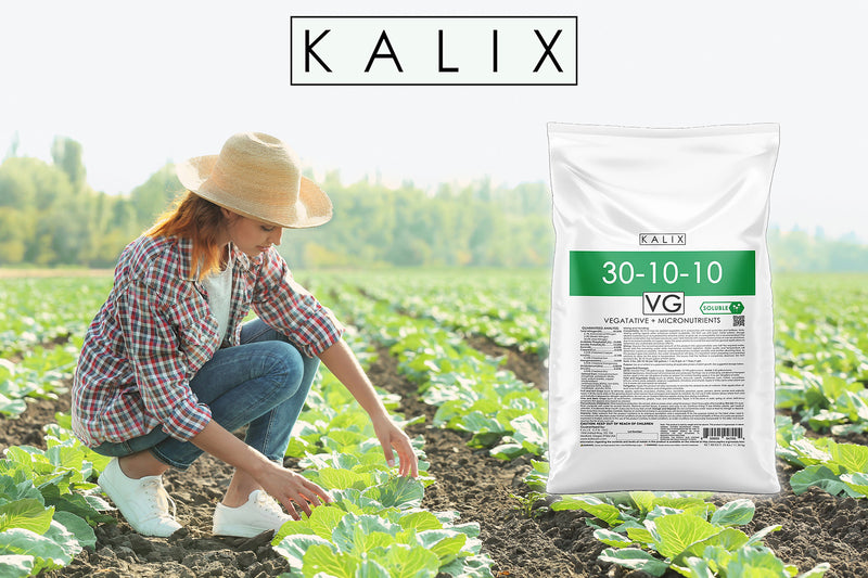 high nitrogen fertilizer for indoor plants KALIX Grow 30-10-10 + Chelated Micronutrients 25 lb