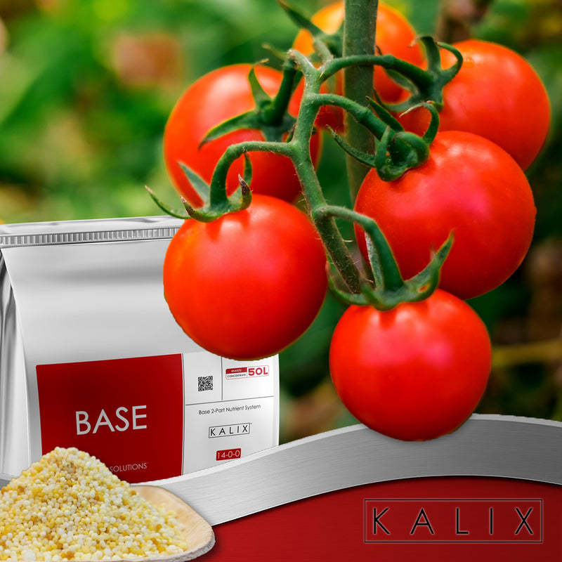 calcium nitrate fertilizer for tomato plants KALIX Base 14-0-0 Water Soluble Calcium Nitrate Fertilizer – Hydroponi – KALIX CPN
