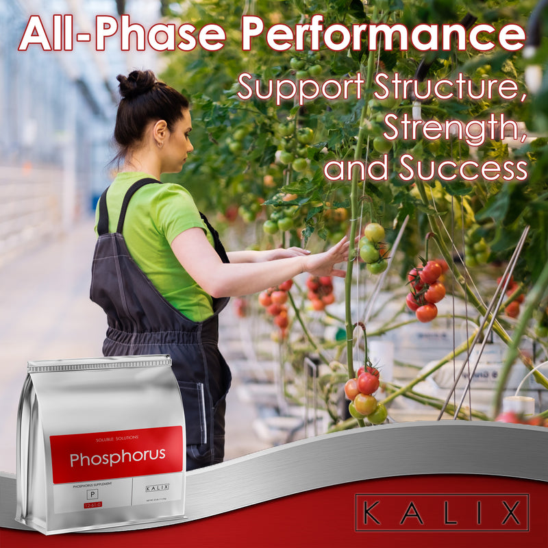 KALIX Phosphorus Fertilizer – Water Soluble Phosphorus for Hydroponic ...