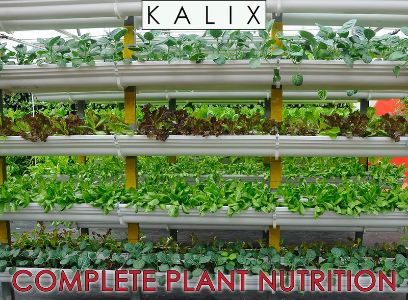 high nitrogen fertilizer for indoor plants KALIX 30-10-10 Fertilizer