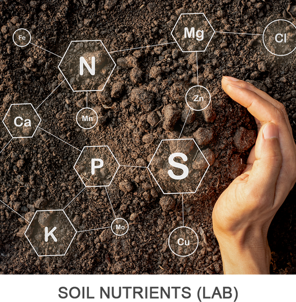 General Soil Analysis