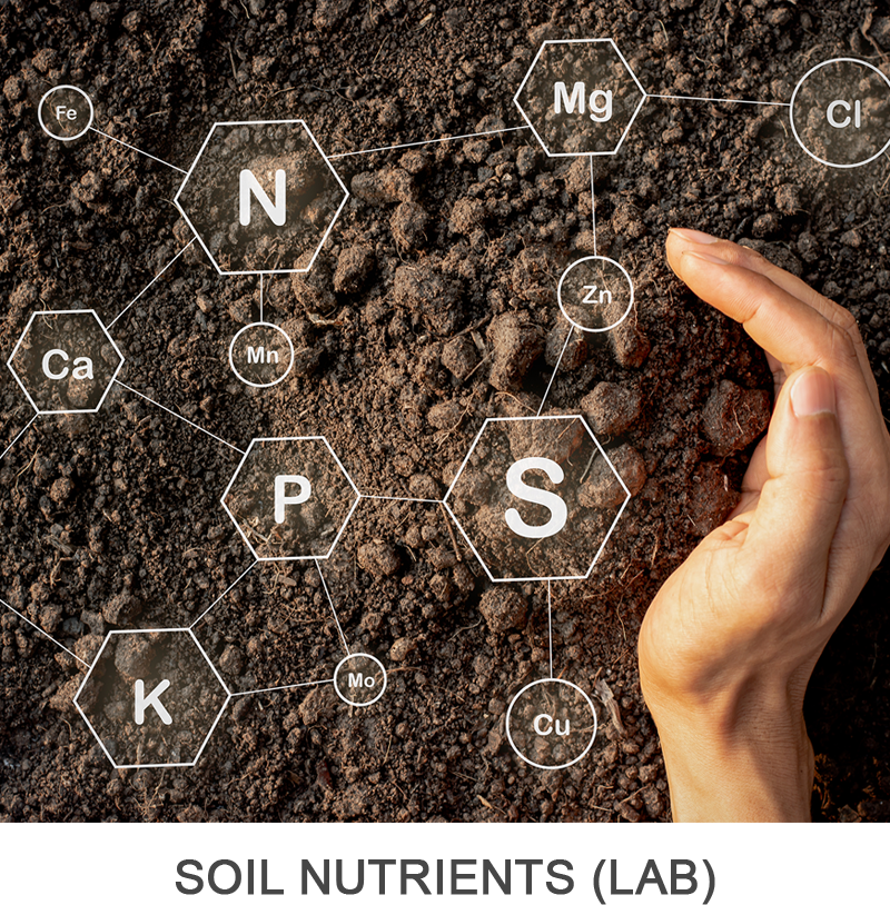 General Soil Analysis