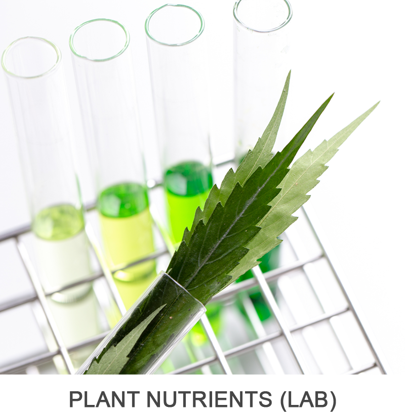 Plant Leaf Tissue Analysis