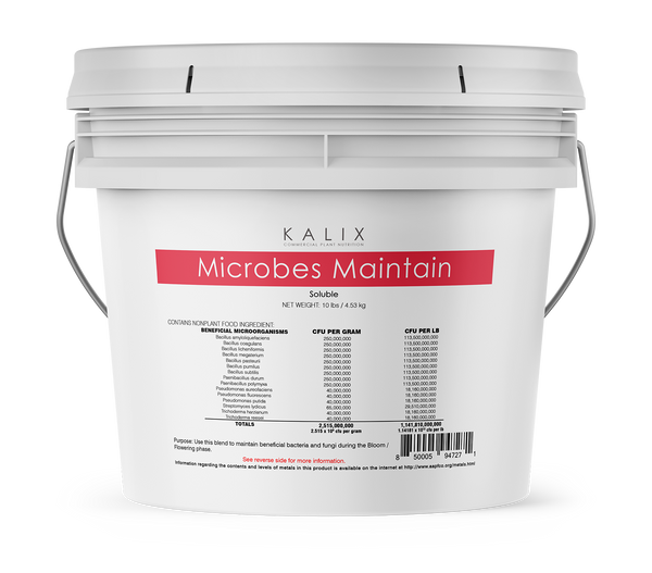 KALIX Microbes Maintain (Soluble)